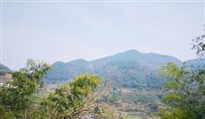 山东黄金集团上半年营收845.69亿 黄金产量利润双增长