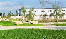 国产300吨级矿用自卸卡车成功交付 打破进口技术垄断