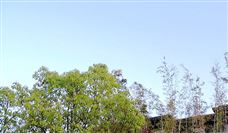 徐矿集团上半年利润增长22% 数字化转型助力高质量发展