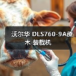 沃尔华 DLS760-9A蔗木 装载机(图1) 沃尔华 DLS760-9A蔗木 装载机(图1)