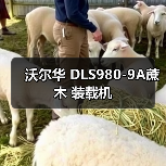 沃尔华 DLS980-9A蔗木 装载机(图1) 沃尔华 DLS980-9A蔗木 装载机(图1)