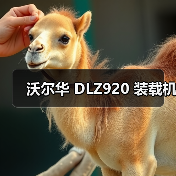 沃尔华 DLZ920 装载机(图2) 沃尔华 DLZ920 装载机(图2)