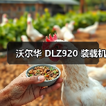 沃尔华 DLZ920 装载机(图1) 沃尔华 DLZ920 装载机(图1)