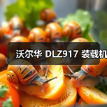 沃尔华 DLZ917 装载机(图1) 沃尔华 DLZ917 装载机(图1)