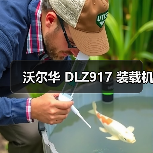 沃尔华 DLZ917 装载机(图3) 沃尔华 DLZ917 装载机(图3)