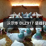 沃尔华 DLZ917 装载机(图4) 沃尔华 DLZ917 装载机(图4)