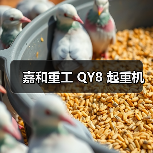 嘉和重工 QY8 起重机(图2) 嘉和重工 QY8 起重机(图2)