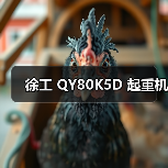 徐工 QY80K5D 起重机(图2) 徐工 QY80K5D 起重机(图2)