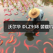 沃尔华 DLZ938 装载机（图3）
