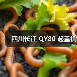 四川长江 QY80 起重机(图4) 四川长江 QY80 起重机(图4)