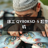 徐工 QY80K5D-5 起重机(图3) 徐工 QY80K5D-5 起重机(图3)