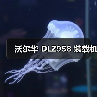 沃尔华 DLZ958 装载机(图2) 沃尔华 DLZ958 装载机(图2)