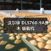沃尔华 DLS760-9A蔗木 装载机(图2) 沃尔华 DLS760-9A蔗木 装载机(图2)