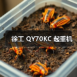 徐工 QY70KC 起重机(图1) 徐工 QY70KC 起重机(图1)