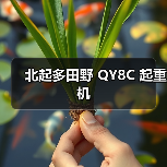 北起多田野 QY8C 起重机(图2) 北起多田野 QY8C 起重机(图2)