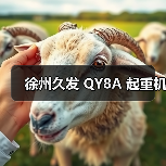 徐州久发 QY8A 起重机(图2) 徐州久发 QY8A 起重机(图2)