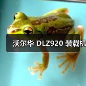 沃尔华 DLZ920 装载机（图3）
