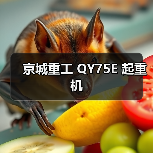 京城重工 QY75E 起重机(图4) 京城重工 QY75E 起重机(图4)