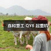 嘉和重工 QY8 起重机（图3）