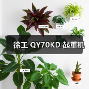 徐工 QY70KD 起重机(图1) 徐工 QY70KD 起重机(图1)