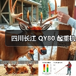 四川长江 QY80 起重机(图2) 四川长江 QY80 起重机(图2)