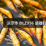 沃尔华 DLZ956 装载机(图1) 沃尔华 DLZ956 装载机(图1)