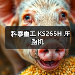 科泰重工 KS265H 压路机(图4) 科泰重工 KS265H 压路机(图4)