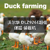 沃尔华 DLZ926E超低煤层 装载机(图1) 沃尔华 DLZ926E超低煤层 装载机(图1)