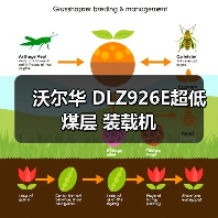 沃尔华 DLZ926E超低煤层 装载机(图2) 沃尔华 DLZ926E超低煤层 装载机(图2)