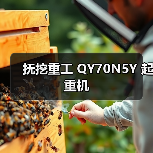 抚挖重工 QY70N5Y 起重机(图1) 抚挖重工 QY70N5Y 起重机(图1)