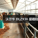 沃尔华 DLZ938 装载机(图1) 沃尔华 DLZ938 装载机(图1)