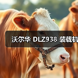 沃尔华 DLZ938 装载机(图4) 沃尔华 DLZ938 装载机(图4)