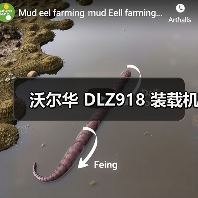 沃尔华 DLZ918 装载机(图2) 沃尔华 DLZ918 装载机(图2)
