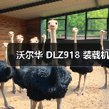 沃尔华 DLZ918 装载机(图3) 沃尔华 DLZ918 装载机(图3)