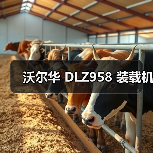 沃尔华 DLZ958 装载机(图1) 沃尔华 DLZ958 装载机(图1)