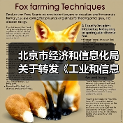 北京市经济和信息化局关于转发《工业和信息化部办公厅 市场监管总局办公厅关于开展2023年度智能制造系统解决方案揭榜挂帅项目申报工作的通知》的通知(图2) 北京市经济和信息化局关于转发《工业和信息化部办公厅 市场监管总局办公厅关于开展2023年度智能制造系统解决方案揭榜挂帅项目申报工作的通知》的通知(图2)