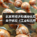 北京市经济和信息化局关于转发《工业和信息化部办公厅 市场监管总局办公厅关于开展2023年度智能制造系统解决方案揭榜挂帅项目申报工作的通知》的通知(图1) 北京市经济和信息化局关于转发《工业和信息化部办公厅 市场监管总局办公厅关于开展2023年度智能制造系统解决方案揭榜挂帅项目申报工作的通知》的通知(图1)