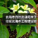 北海市自然资源局关于印发北海市工程建设项目“验登合一”实施方案的通知(图1) 北海市自然资源局关于印发北海市工程建设项目“验登合一”实施方案的通知(图1)