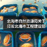 北海市自然资源局关于印发北海市工程建设项目“验登合一”实施方案的通知(图4) 北海市自然资源局关于印发北海市工程建设项目“验登合一”实施方案的通知(图4)