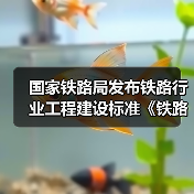 国家铁路局发布铁路行业工程建设标准《铁路工程物理勘探规范》(图1) 国家铁路局发布铁路行业工程建设标准《铁路工程物理勘探规范》(图1)