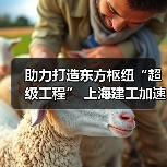 助力打造东方枢纽“超级工程” 上海建工加速推进工程建设(图2) 助力打造东方枢纽“超级工程” 上海建工加速推进工程建设(图2)