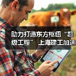 助力打造东方枢纽“超级工程” 上海建工加速推进工程建设(图4) 助力打造东方枢纽“超级工程” 上海建工加速推进工程建设(图4)