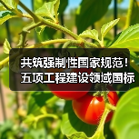 共筑强制性国家规范!五项工程建设领域国标邀您来建言(图1) 共筑强制性国家规范!五项工程建设领域国标邀您来建言(图1)