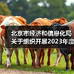 北京市经济和信息化局关于组织开展2023年度第三批北京市市级企业技术中心创建工作的通知(图2) 北京市经济和信息化局关于组织开展2023年度第三批北京市市级企业技术中心创建工作的通知(图2)