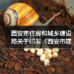 西安市住房和城乡建设局关于印发《西安市建设工程监理企业信用评价管理办法》的通知(图3) 西安市住房和城乡建设局关于印发《西安市建设工程监理企业信用评价管理办法》的通知(图3)