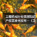 工程机械行业首部知识产权蓝皮书发布――《工程机械知识产权蓝皮书(2023)》(图3) 工程机械行业首部知识产权蓝皮书发布――《工程机械知识产权蓝皮书(2023)》(图3)