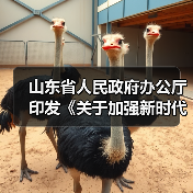 山东省人民政府办公厅印发《关于加强新时代全省高技能人才队伍建设的实施意见》的通知（图3）