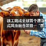 徐工完成全球首个漂浮式风渔融合项目――“国能共享号”风机组装工作(图1) 徐工完成全球首个漂浮式风渔融合项目――“国能共享号”风机组装工作(图1)