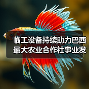 临工设备持续助力巴西最大农业合作社事业发展(图3) 临工设备持续助力巴西最大农业合作社事业发展(图3)