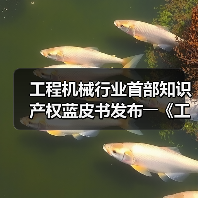 工程机械行业首部知识产权蓝皮书发布――《工程机械知识产权蓝皮书(2023)》(图4) 工程机械行业首部知识产权蓝皮书发布――《工程机械知识产权蓝皮书(2023)》(图4)